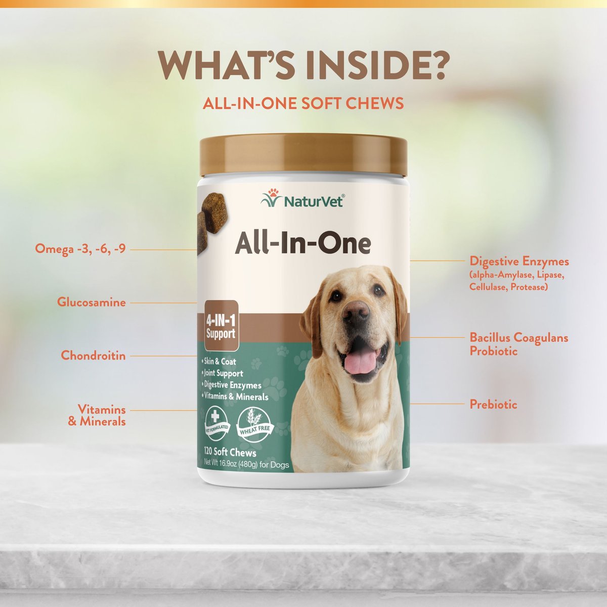 NaturVet All-in-One Soft Chews Multivitamin for Dogs