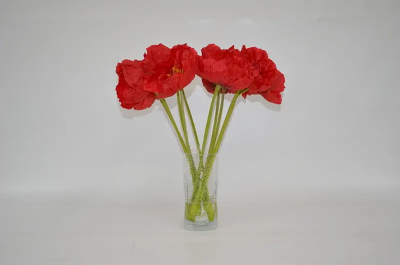 Red Poppies Arrangement In Clear Vase