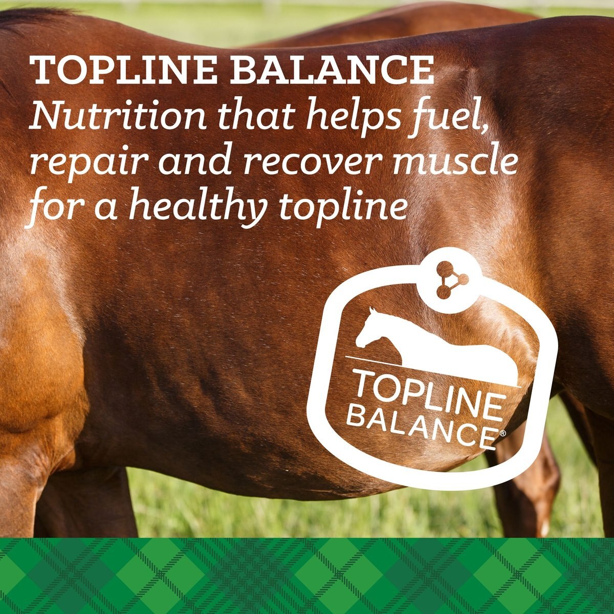 Nutrena Empower Topline Balance Horse Supplement， 40-lb bag