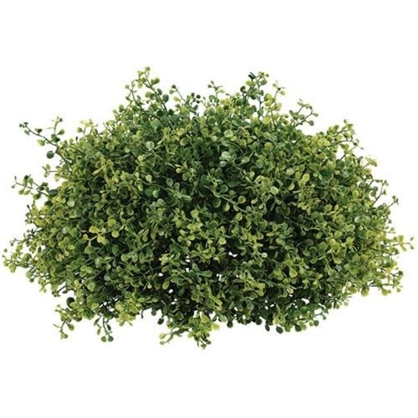 Pennington Boxwood Half Sphere