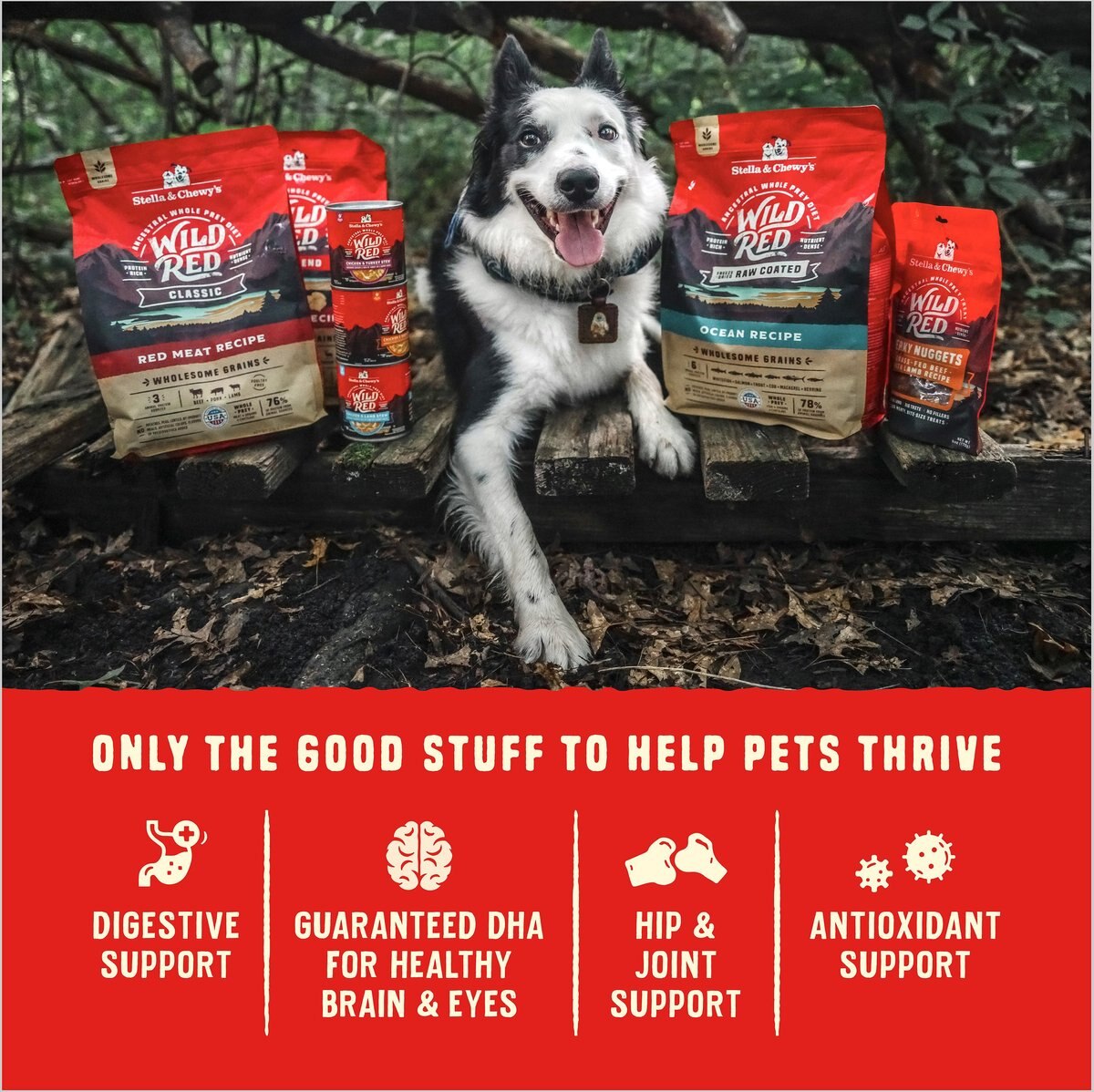 Stella and Chewy's Puppy Prairie Recipe Wild Red Raw Coated High Protein Wholesome Grains Dry Dog Food