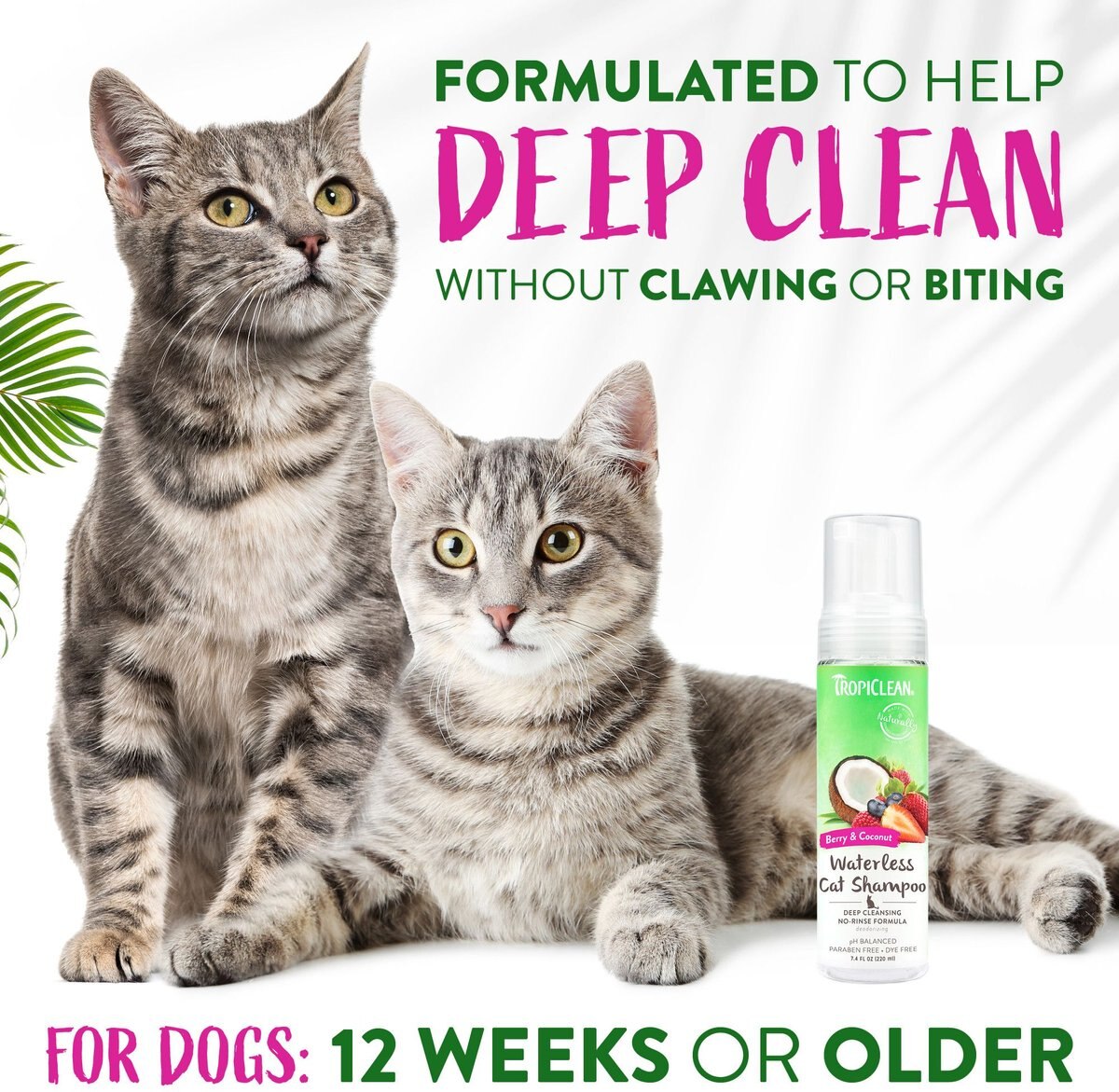 TropiClean Waterless Deep Cleaning Cat Shampoo