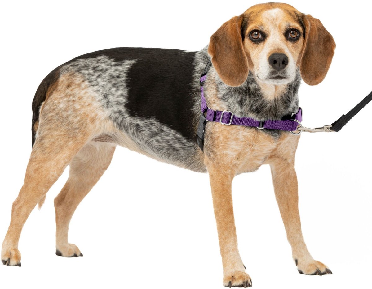 PetSafe Easy Walk Dog Harness