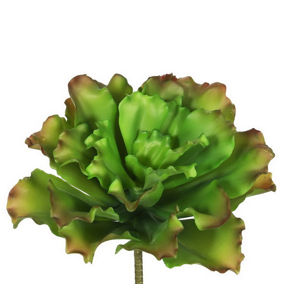 Vickerman FA170901 9 Big Romaine Green/Brown Pk/3