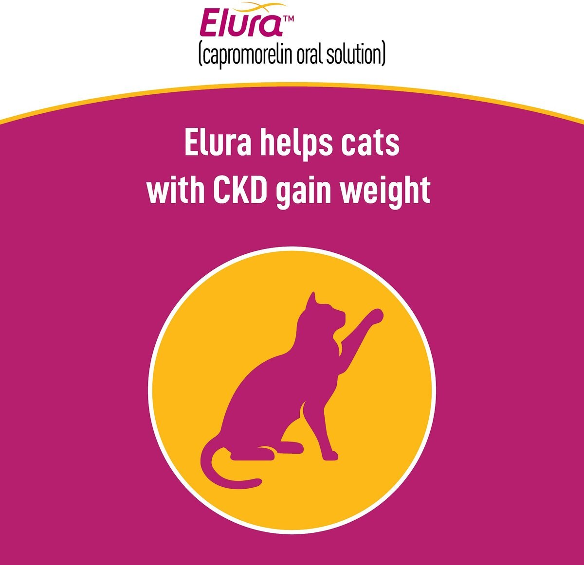 Elura (capromorelinoral solution) for Cats