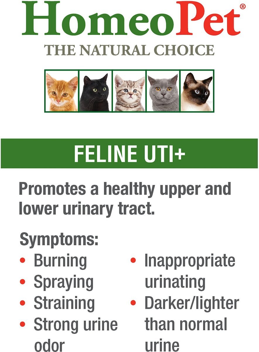 HomeoPet UTI+ Homeopathic Medicine for Urinary Tract Infections (UTI) for Cats