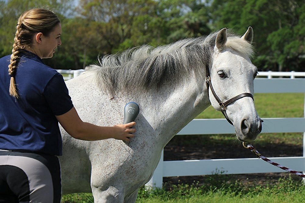 Oster Equine Care Stiff Grooming Horse Brush