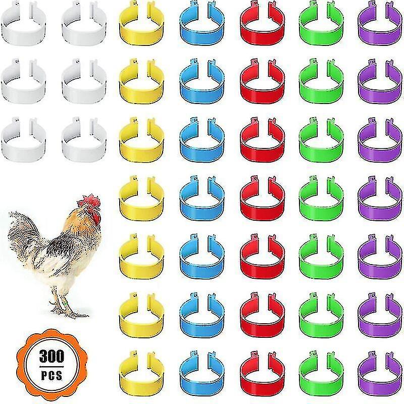 300 Poultry Foot Rings， Small Poultry Clamp Rings， Poultry Bands For Marking Birds， Parrots， Pigeons， Quail， Chicks