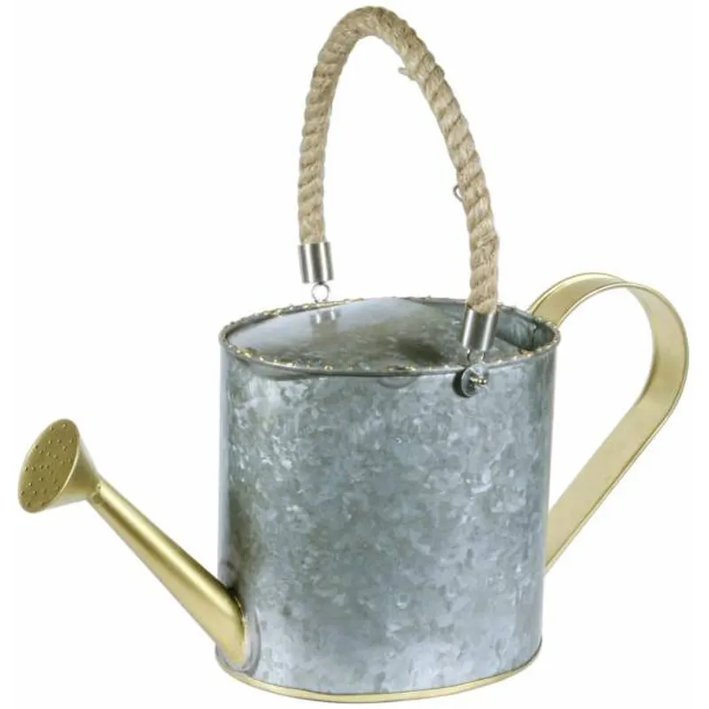 Newest Design Elegant Designed Nordic factory direct sale Galvanized Mini Metal Watering Can For Home Patio Hotel Garden