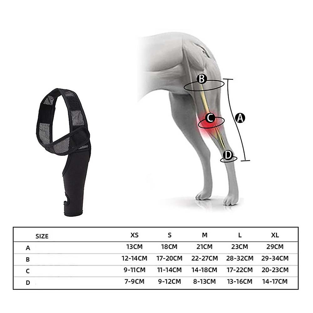 Miman Dog Knee Brace For Acl， Knee Cap Dislocation， Arthritis - Keeps The Joint Warm - Reduces Pain And Inflammation