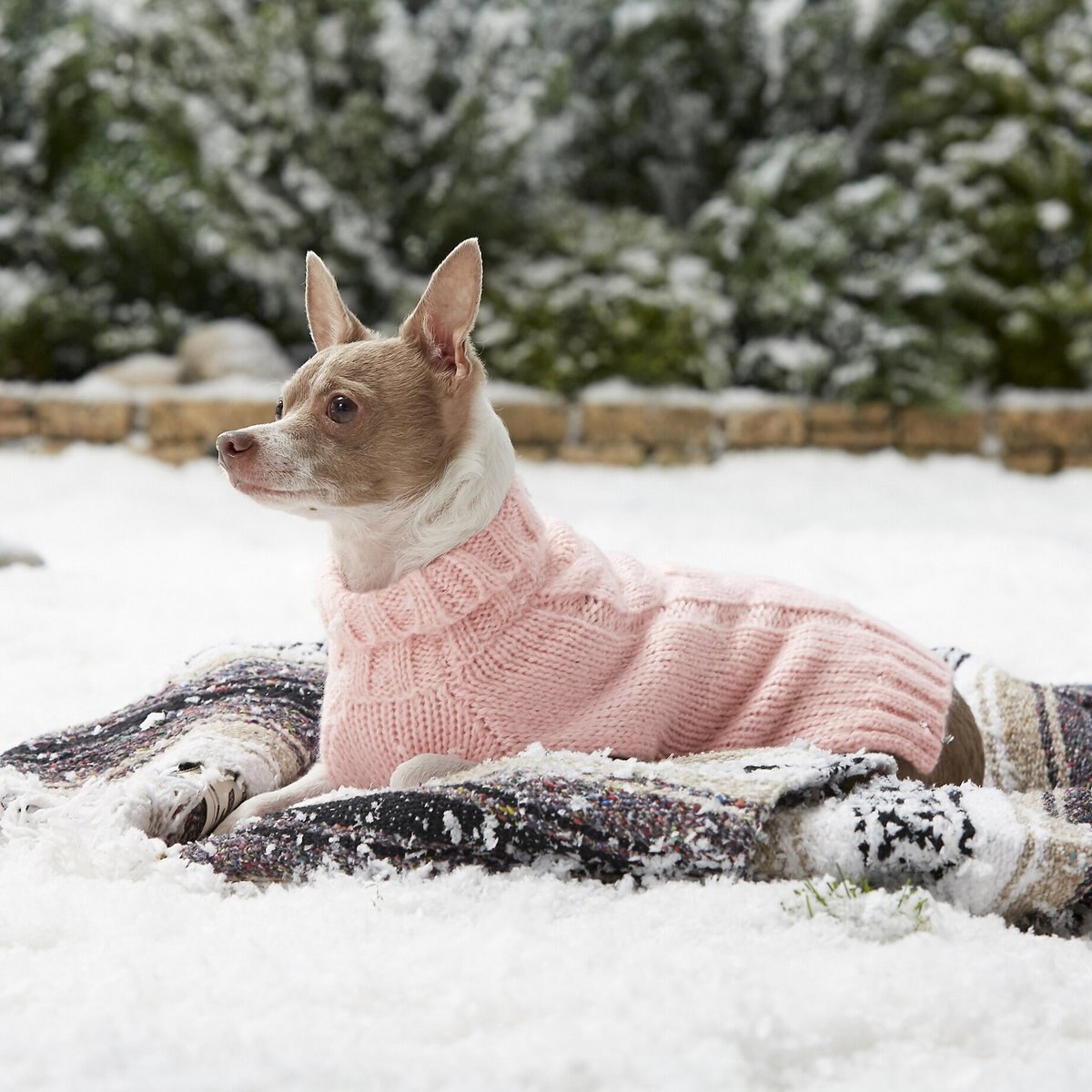 Frisco Ultra-Soft Marled Dog and Cat Sweater