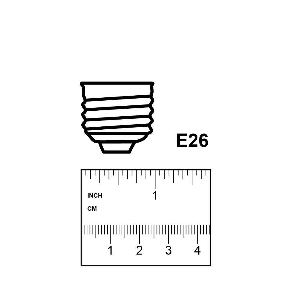 Feit Electric 60-Watt Equivalent ST19 Dimmable White Filament Clear Glass Vintage Edison LED Light Bulb Daylight 5000K ST1960950CAWFILHDRP