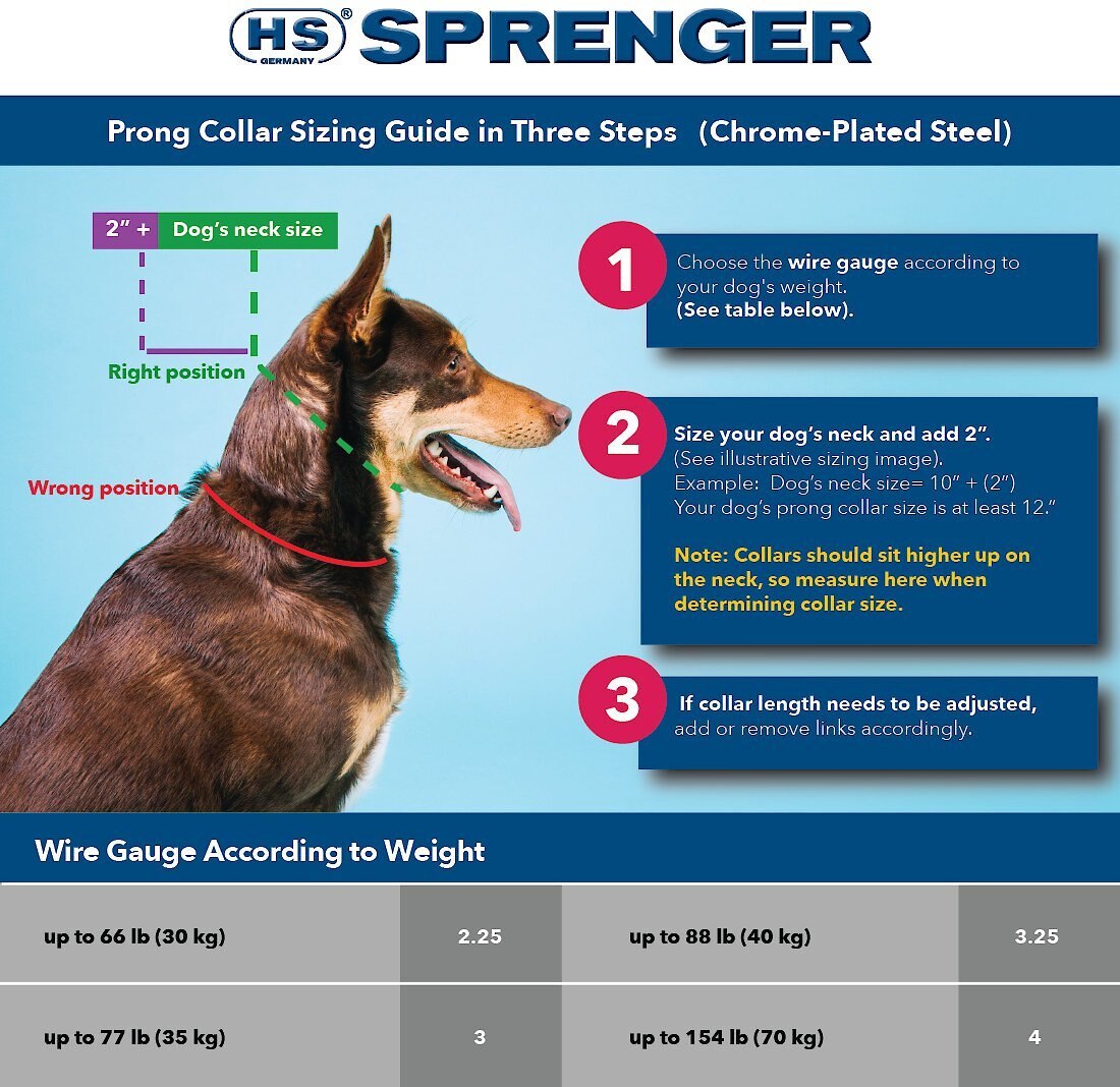 Herm Sprenger Ultra-Plus Training Dog Prong Collar