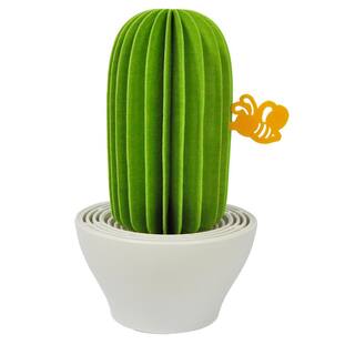 129 sq.ft. Nanum Cactus Non-Electric Personal Humidifier in Light Green C101-GRE