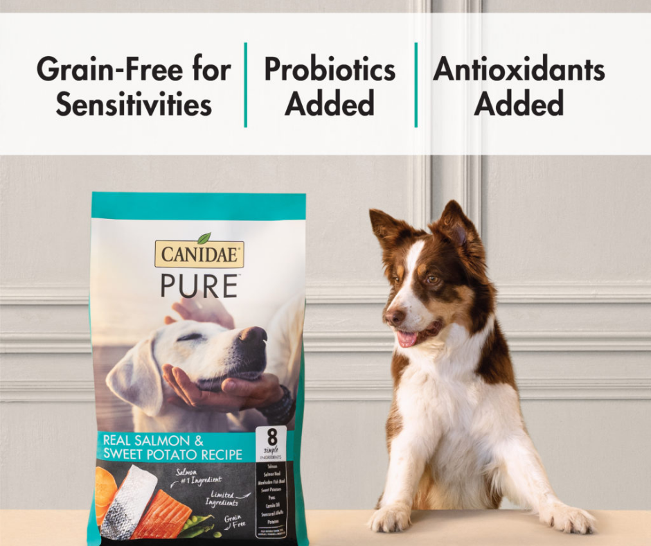 Canidae Grain Free PURE - All Breeds， Adult Dog Real Salmon and Sweet