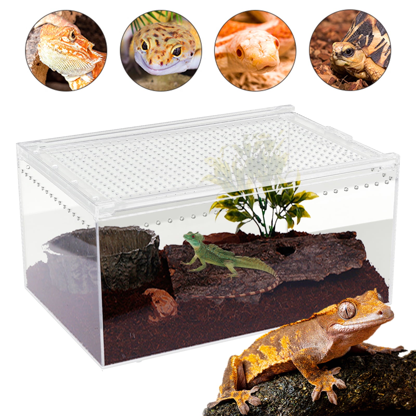 Reptile Feeding Box Snake Breeding Box Transparent Animal Habitat Cage Portable Plastic Turtle Transport Container for Bearded Dragon Lizard Spider Frog Scorpion Gecko