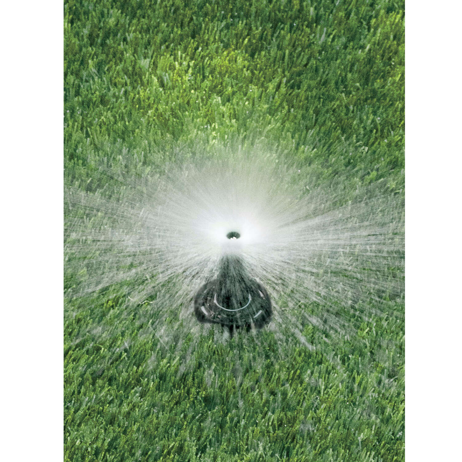 Rain Bird Sure Pop 2-1/2 in. H Full-Circle Sprinkler Spray Head