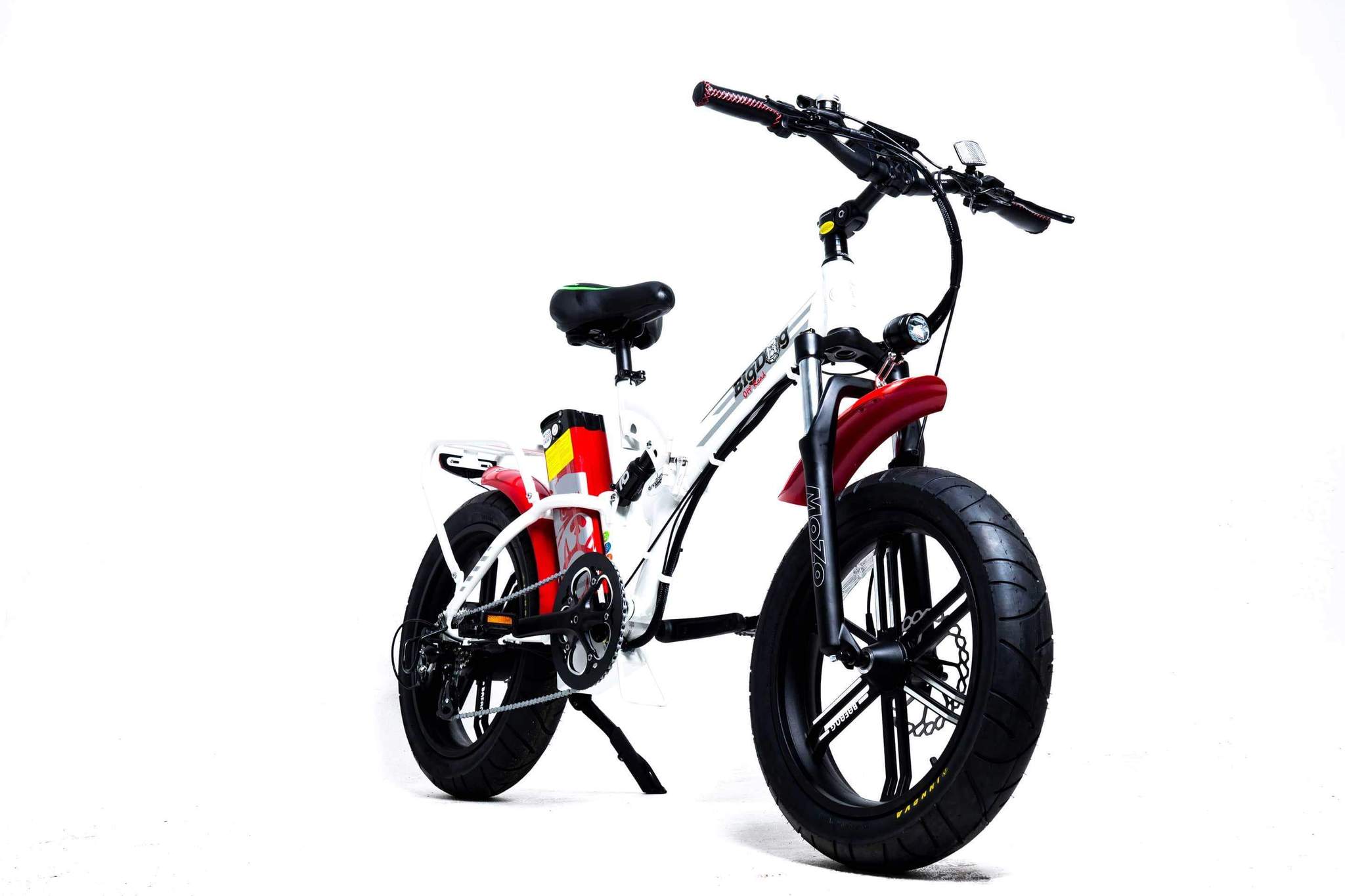 Green Bike Electric Bike Big Dog Off Road Fat Tire Folding Ebike 20