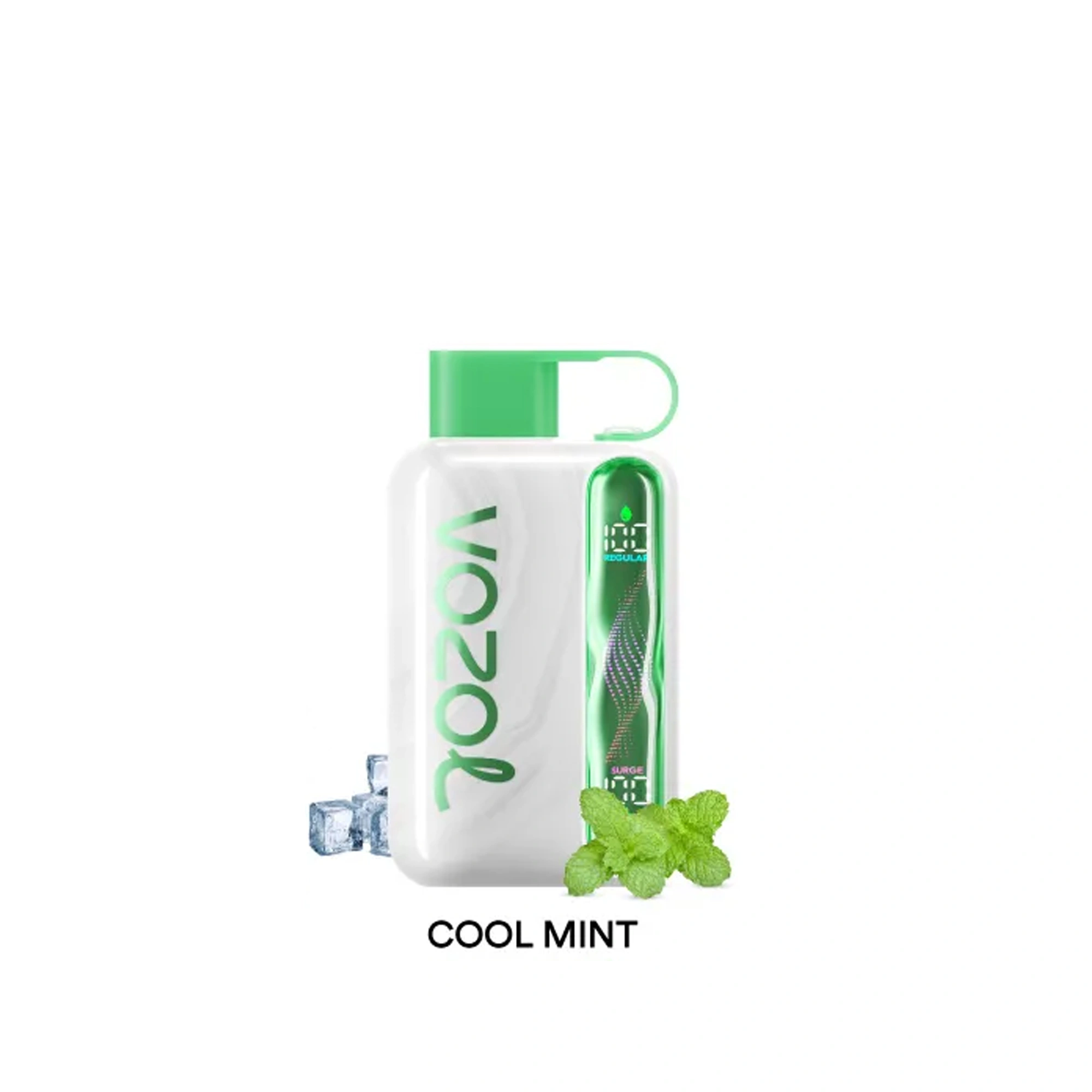 Vozol STAR 40000 - Cool Mint