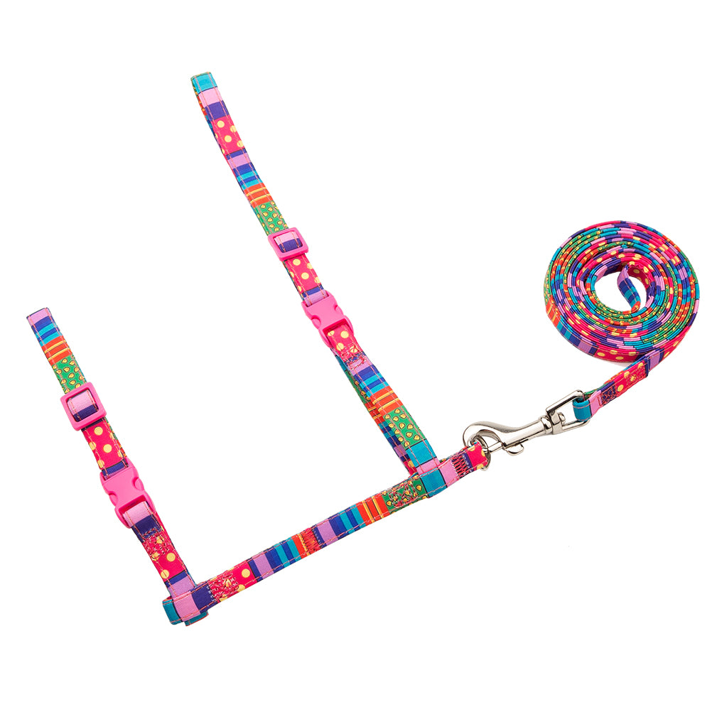 Buckle Cat Harness With Leash，Buckle Colorful Design for Cat Harness and Puppy Cat