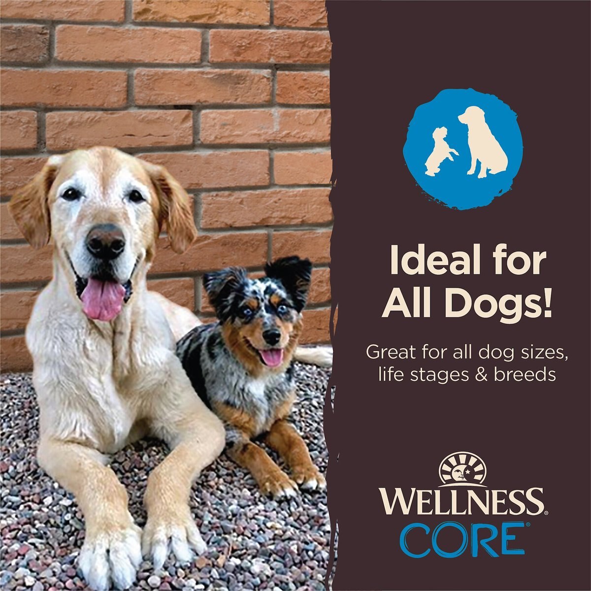 Wellness CORE Power Packed Venison Grain-Free Jerky Dog Treats