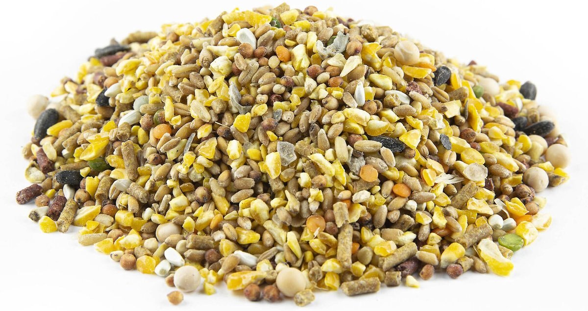 Don Roberto Cracked Corn Gamebird and Poultry Feed， 50-lb bag