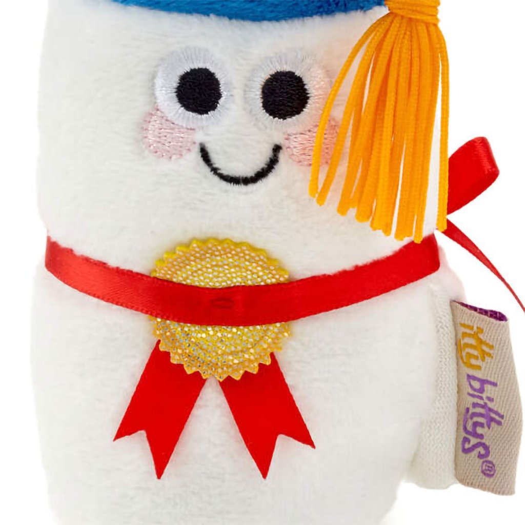 Hallmark  itty bittys® Diploma Plush With Sound