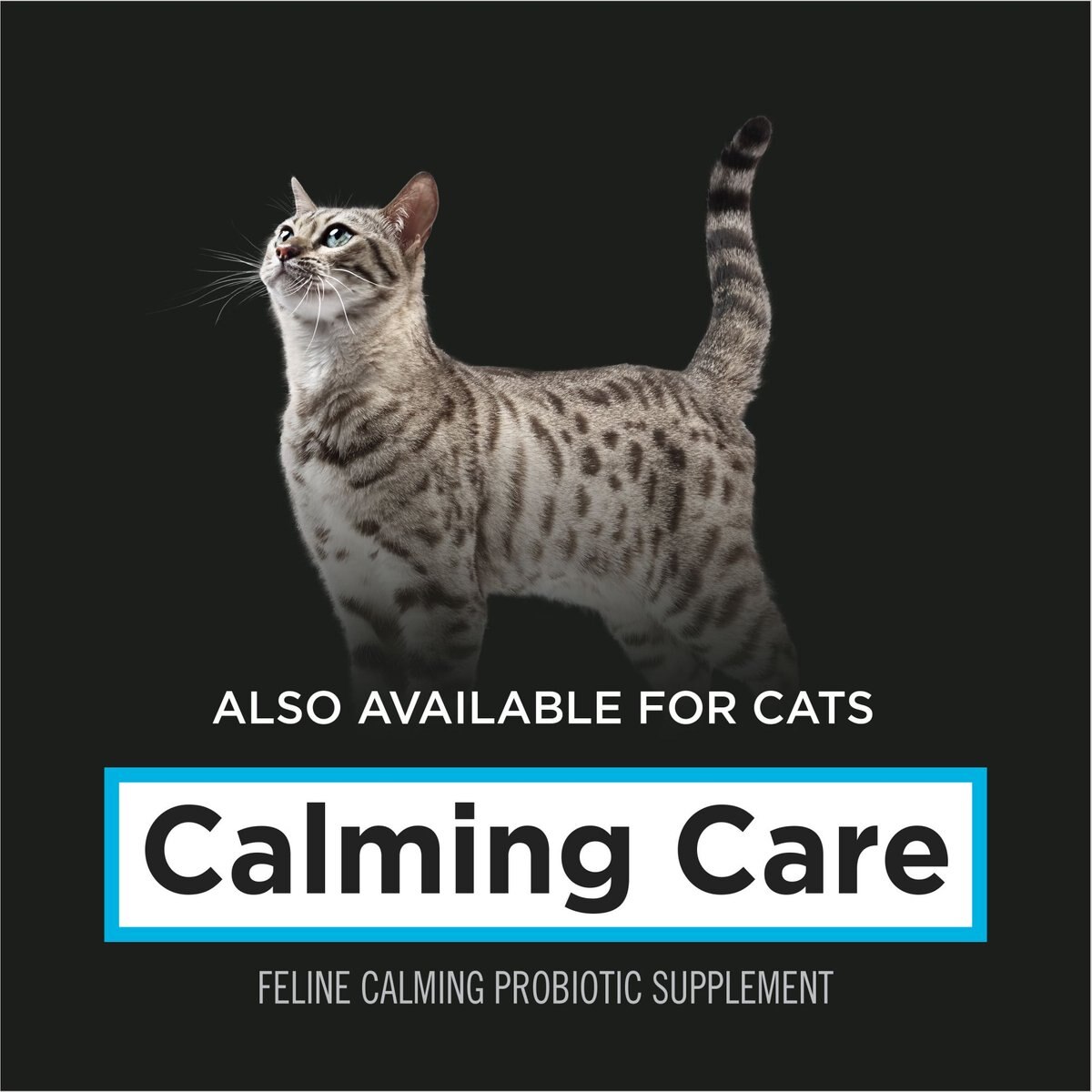 Purina Pro Plan Veterinary Diets Calming Care Liver Flavored Powder Calming Supplement for Dogs