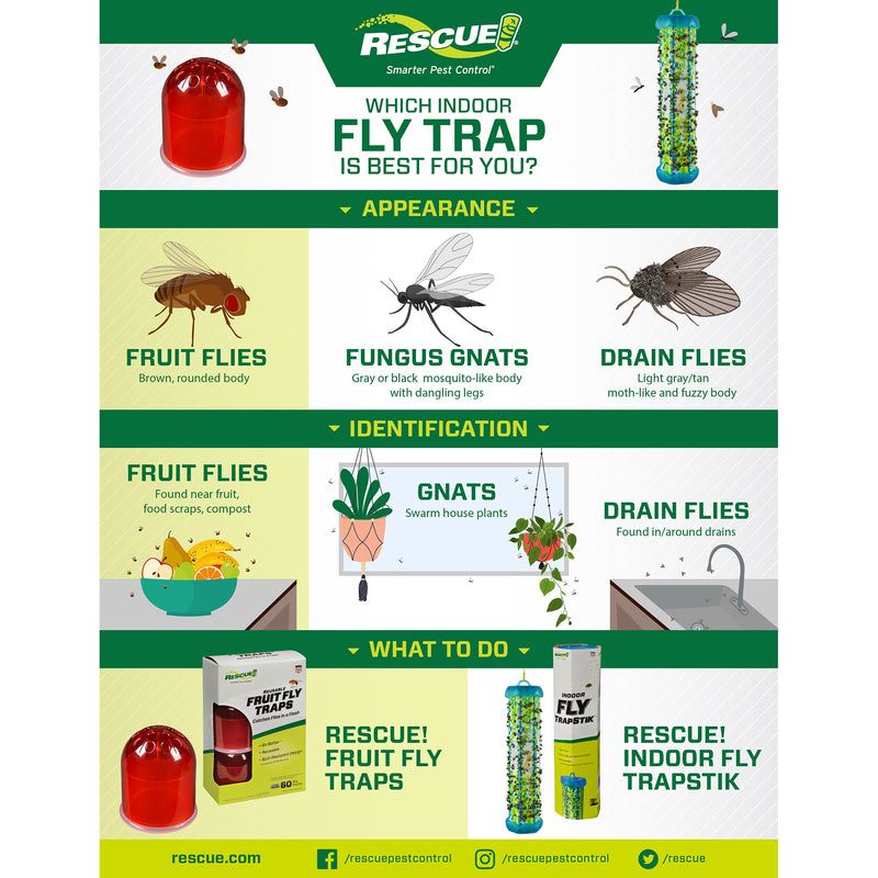 TRAPSTIK FOR FLIES