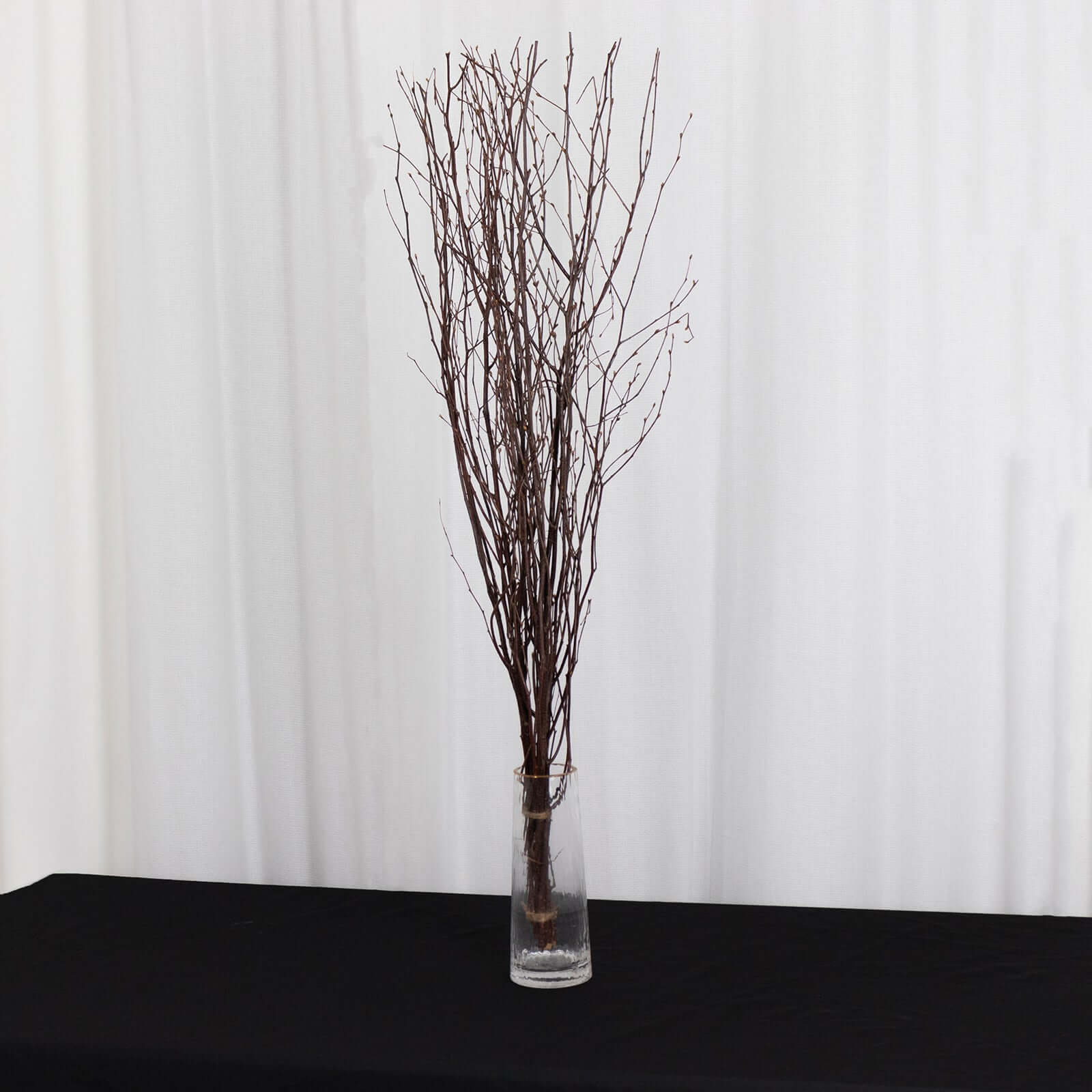 6 Pack Natural Decorative Birch Tree Branches, Extra Long Natural Dried Willow Twigs Sticks Vase Fillers - 46