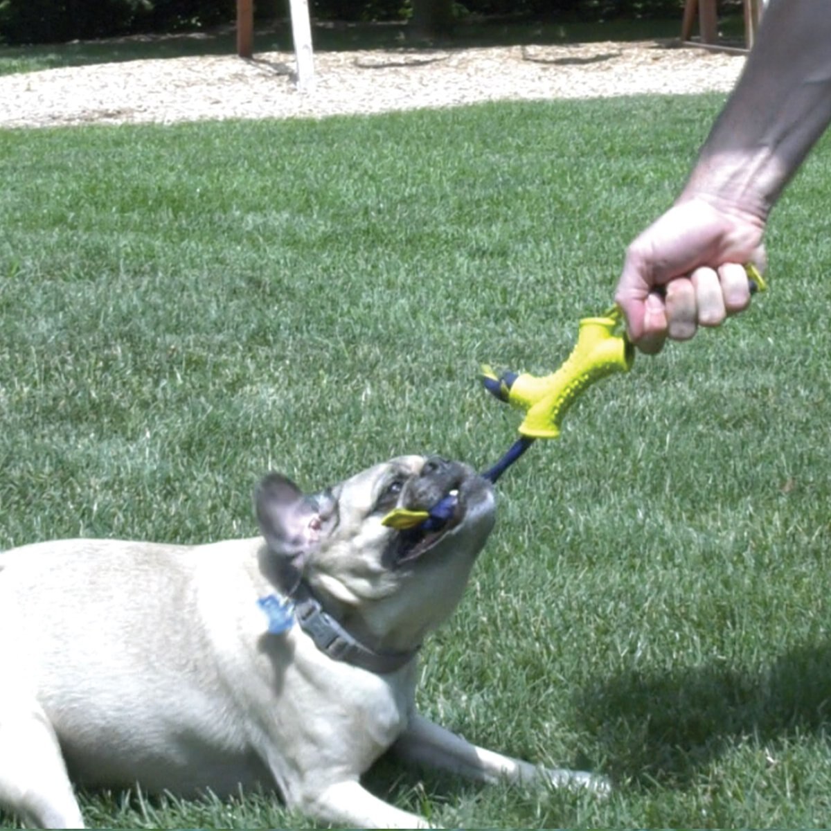 Nylabone Power Play Shake-a-Toss Dog Toy