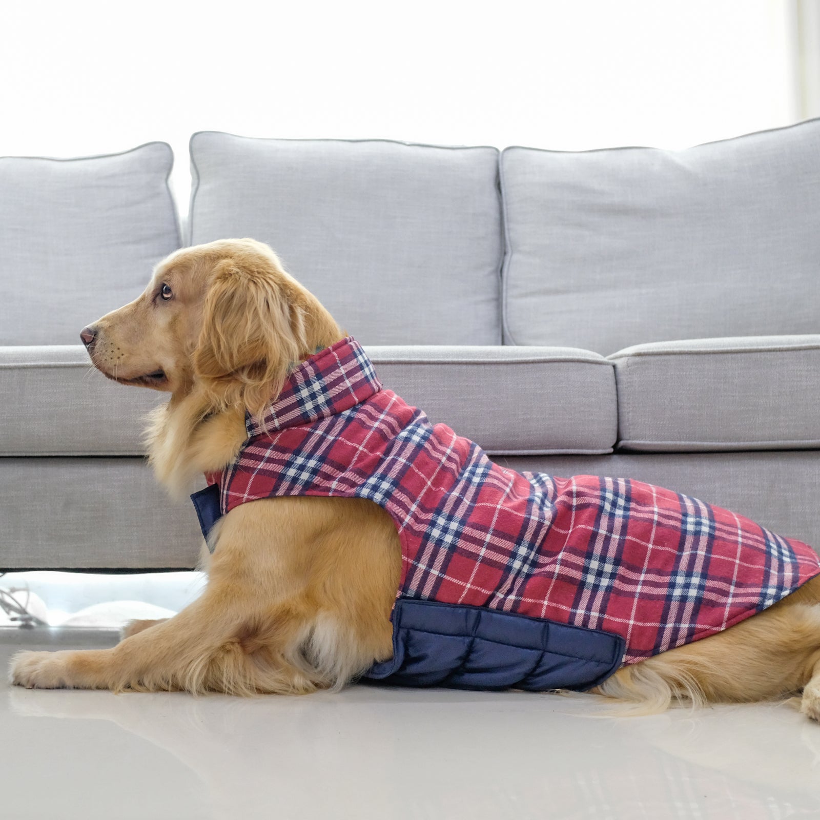 InnoPet Dog Apparel and Accessories，Winter Special Series，Reversible British Style， Easy to Wear with Velcro， Plaid Fleece Warm Waterproof Winter Puffer Jackets， Dog Clothes for Large Dogs， Medium Dogs