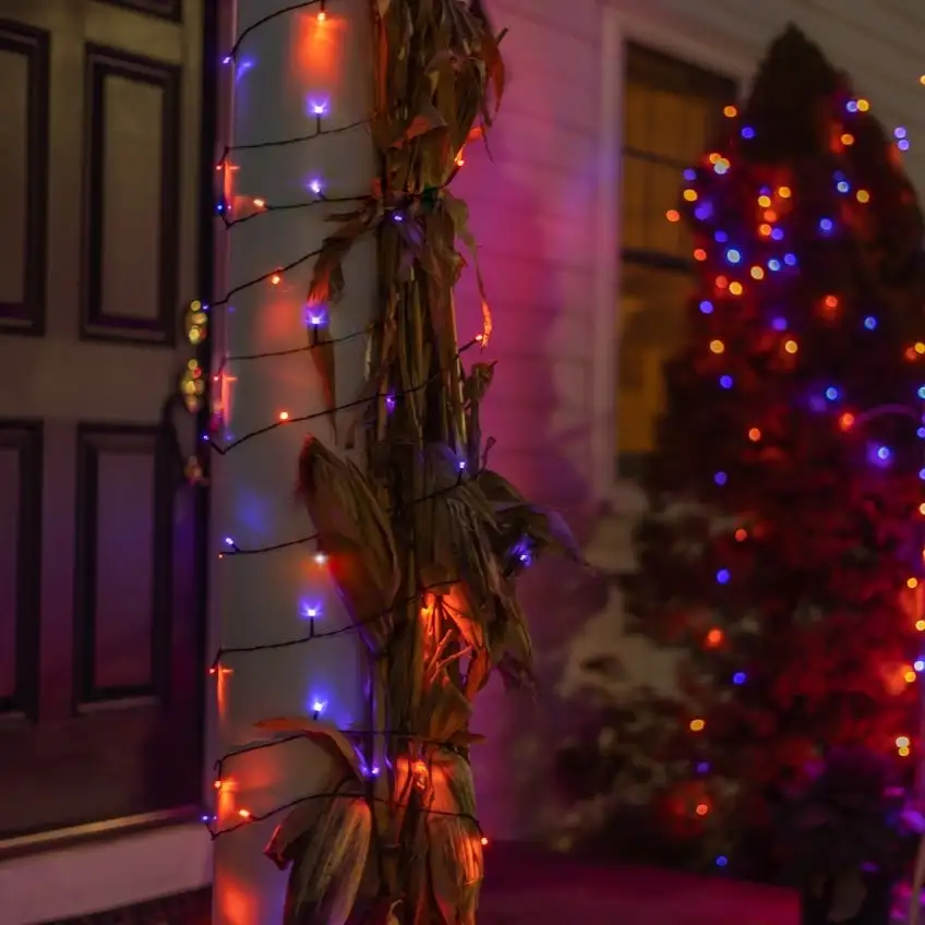 Solar-powered 125 Purple and Orange LED String Light