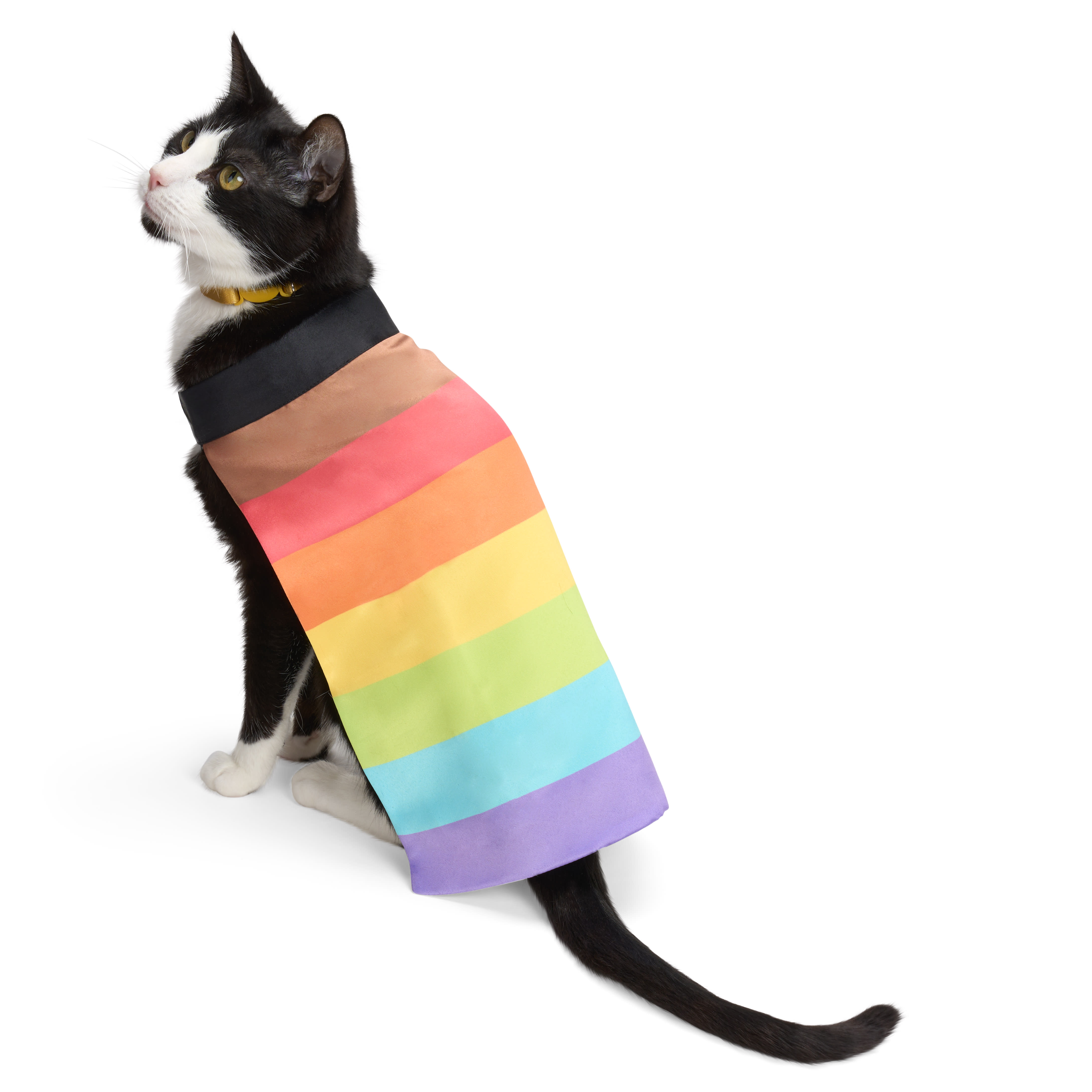 YOULY Pride Rainbow Pet Cape， Small/Medium