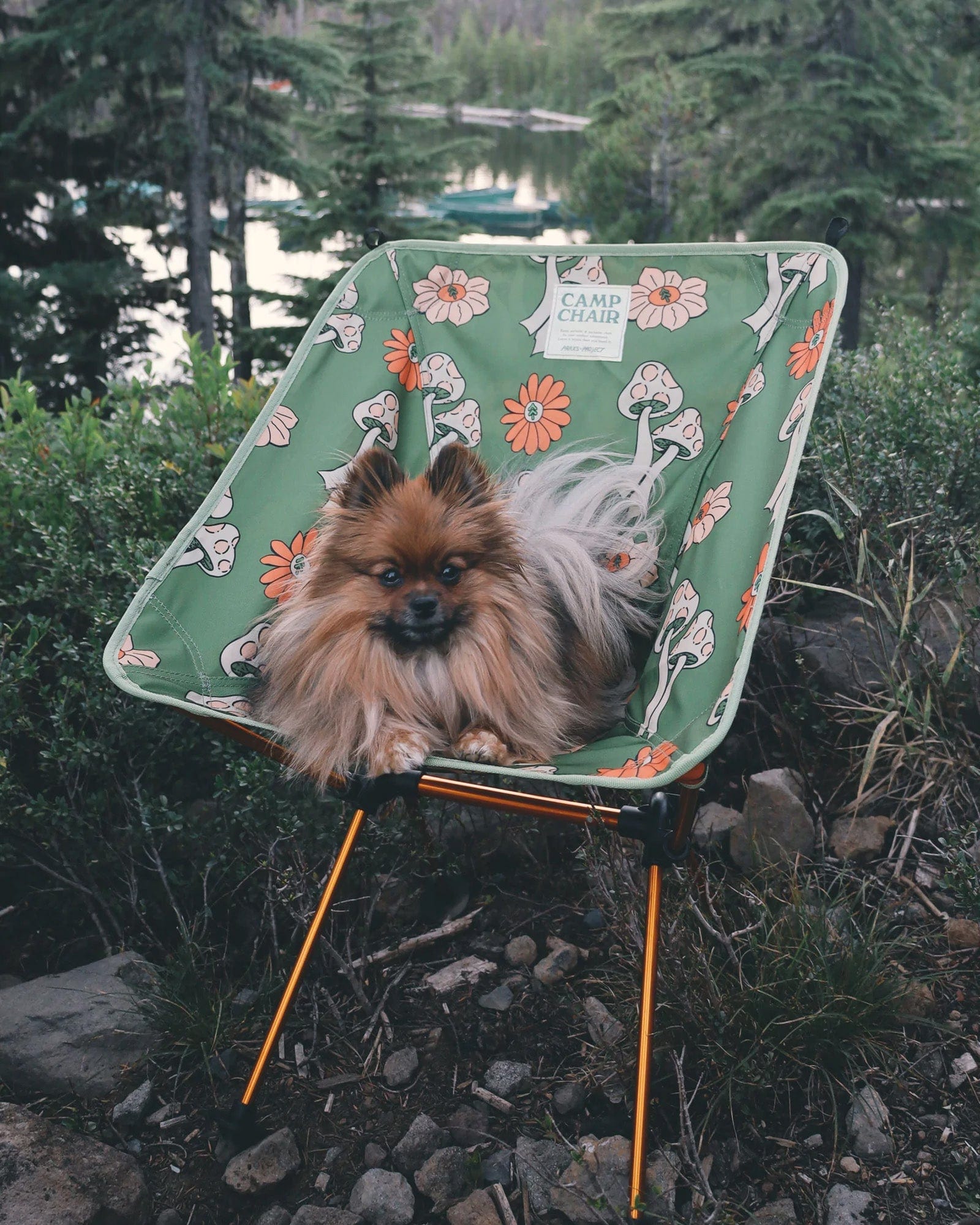 Parks Project Shrooms Packable Camp Chair