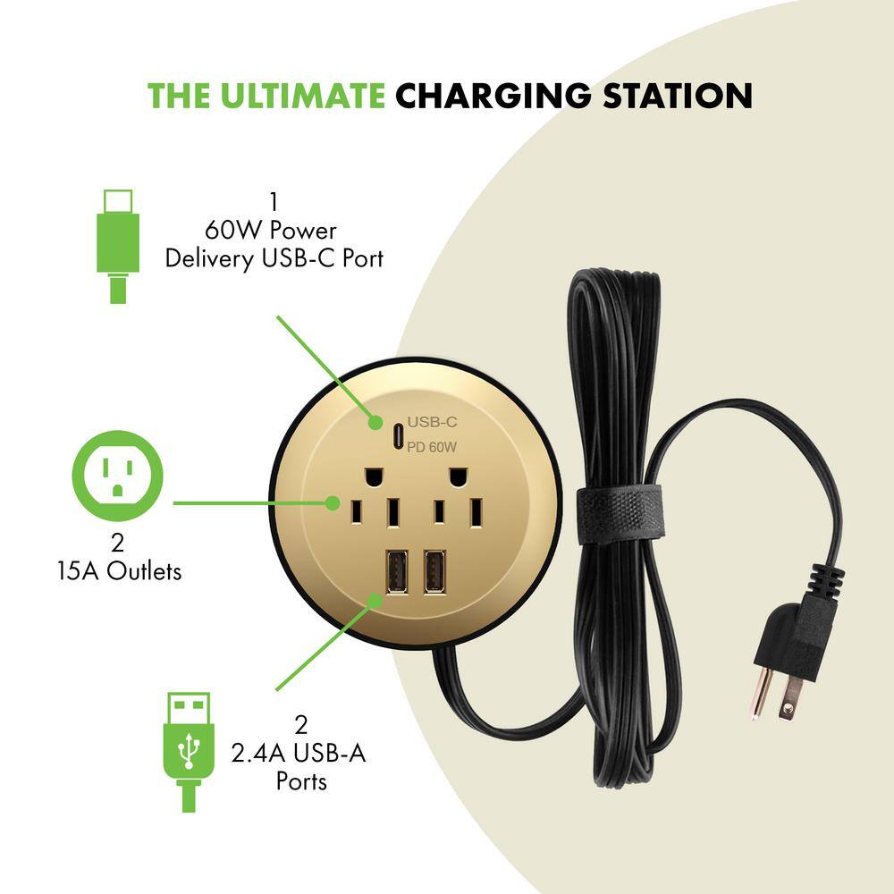 TOPGREENER 12 Amp 2-Outlets Desktop Grommet 60-Watt Power Delivery Type C Port 3-USB Charging Ports Gold TTRP48APD60-GD