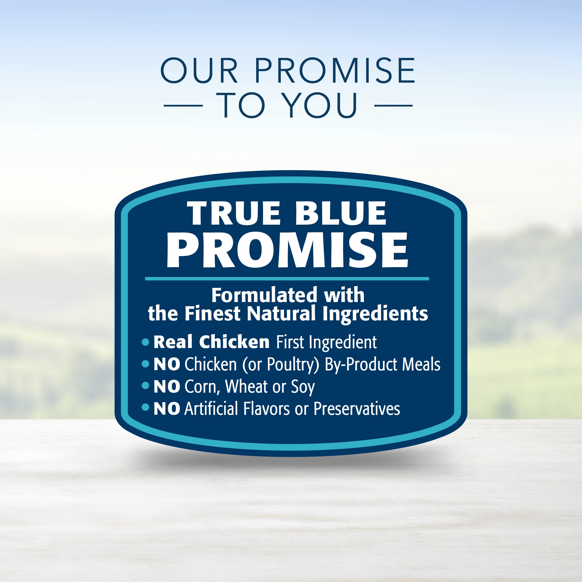 Blue Buffalo Blue Life Protection Formula Toy Breed Adult Chicken  Brown Rice Recipe Dry Dog Food， 4 lbs.