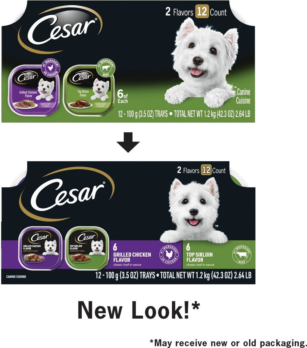 Cesar Classic Loaf in Sauce Top Sirloin and Grilled Chicken Flavors Variety Pack Dog Food Trays