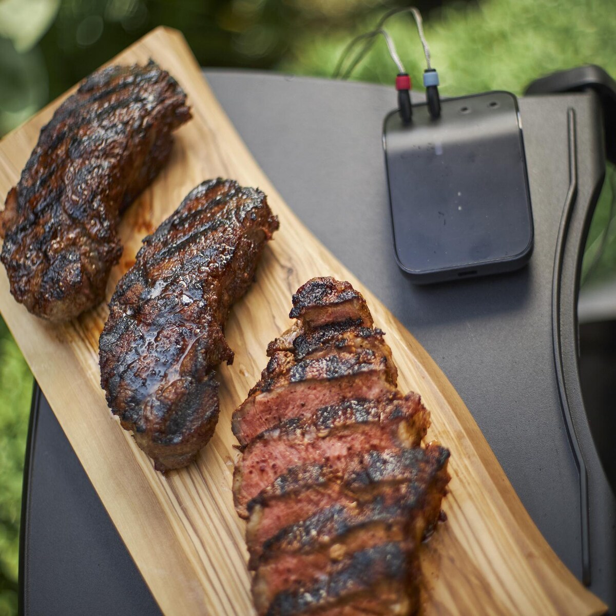 Weber Connect 3201 Wi-Fi Enabled Smart Grilling Hub