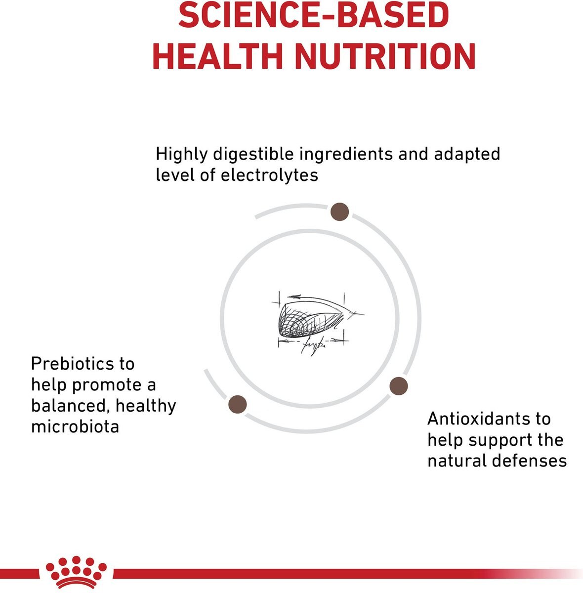 Royal Canin Veterinary Diet Kitten Gastrointestinal Dry Cat Food