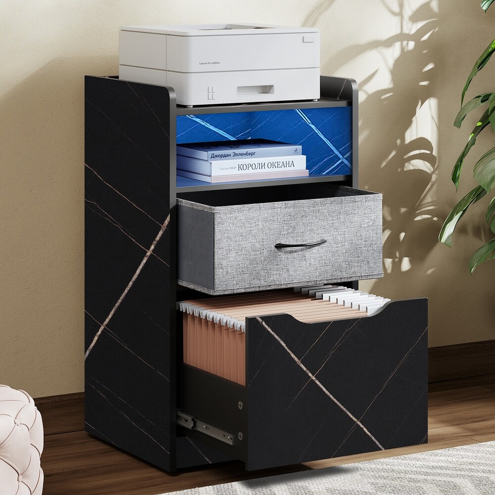 Vertical Mobile File Cabinet with 2 Drawers  Home Office Printer Cart