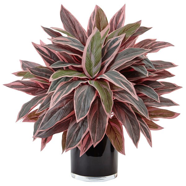 Nearly Natural Caladium in Black Glossy Planter