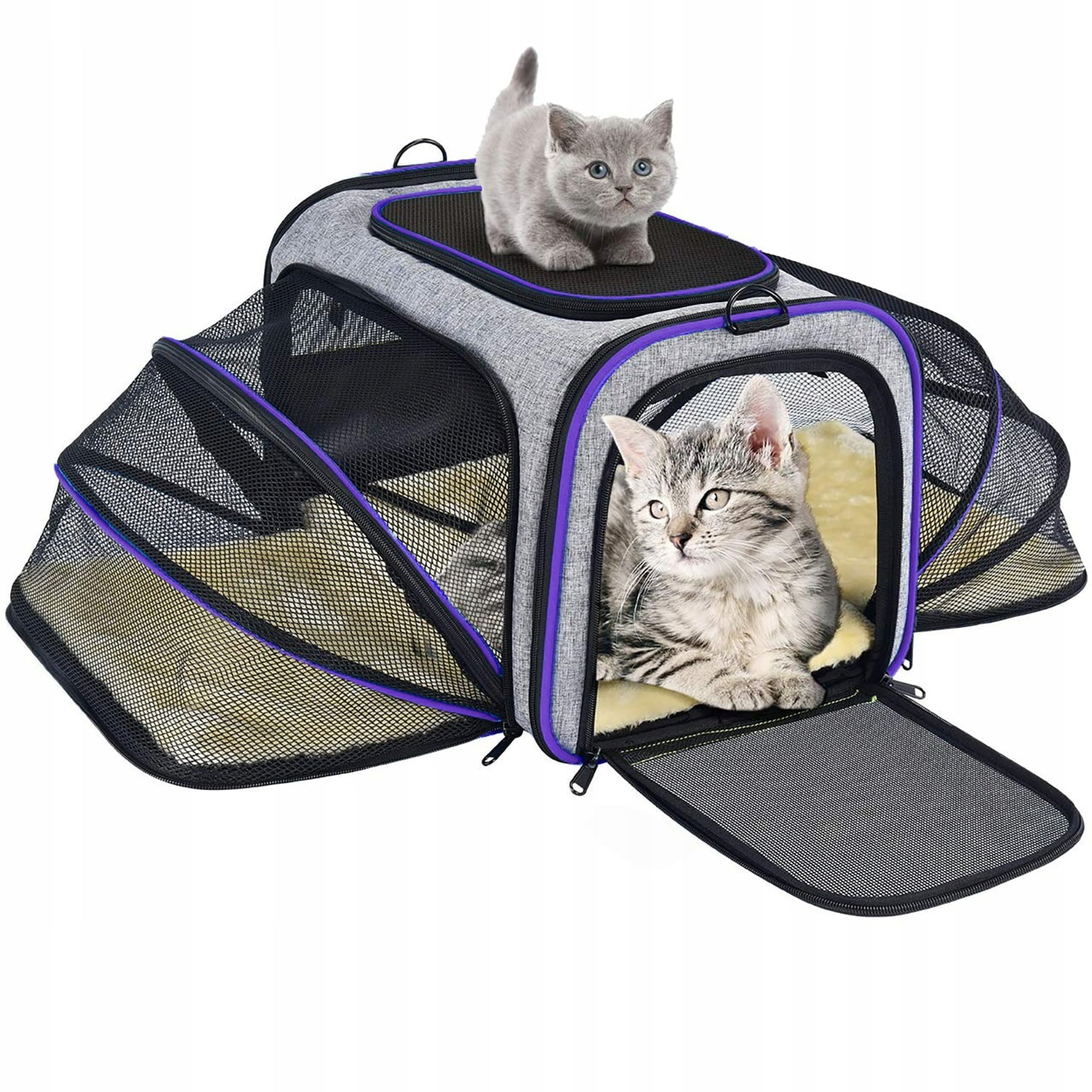 Semiocthome Expandable Foldable Pet Carrier Bag， Airline Approved，Purple