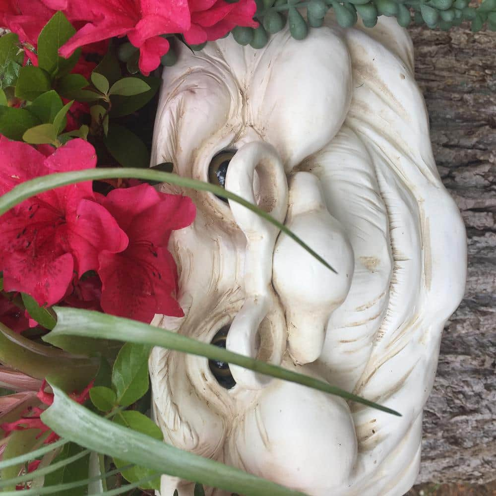 HOMESTYLES Grandma Violet Ant. 10.5 in. White the Muggly Face Statue Tree and Patio Resin Wall Planter 39845