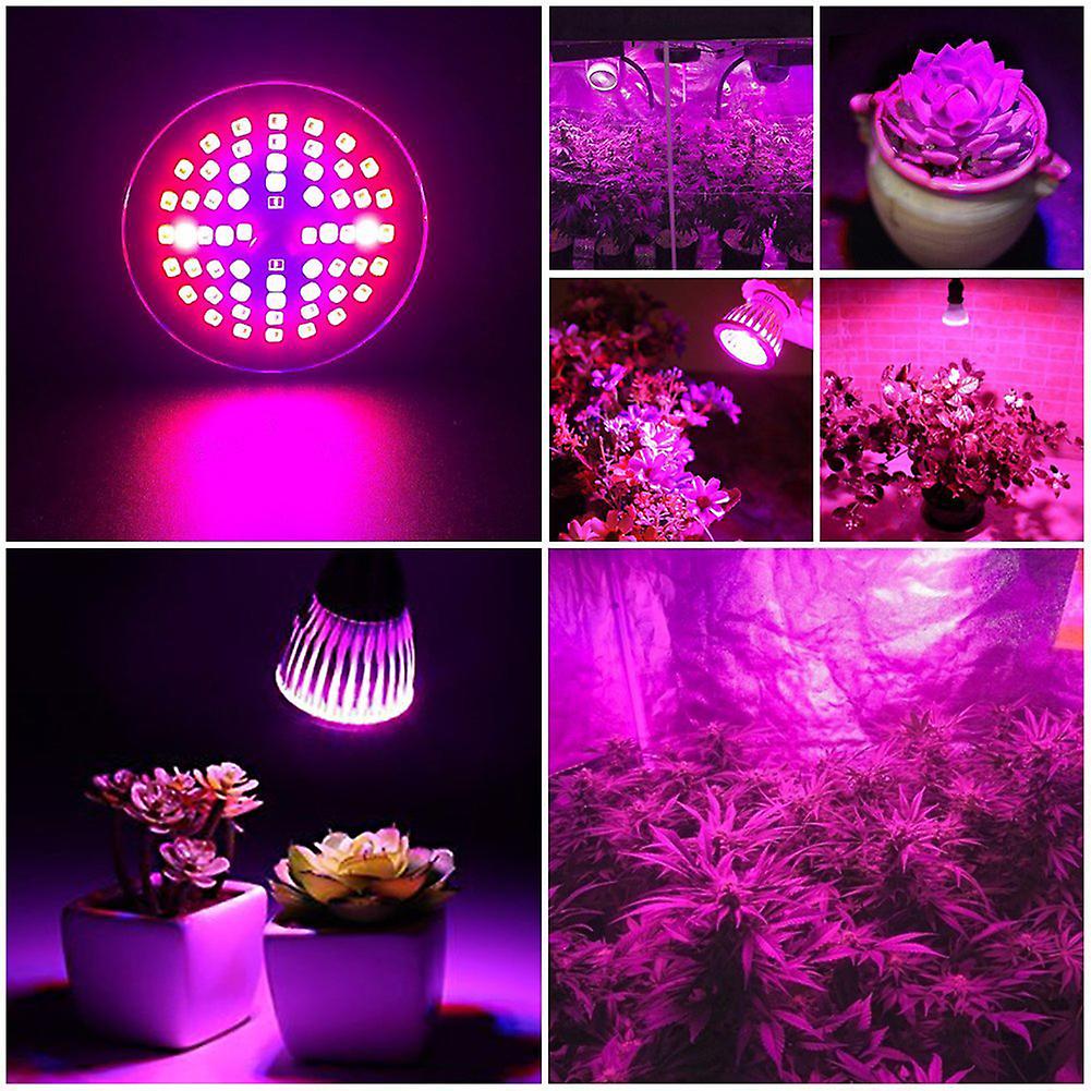 60W 60LED Full Spectrum Plant Grow Light Lamp Bulb for Plant Hydroponic Flower Planting Cultivation 85-265V