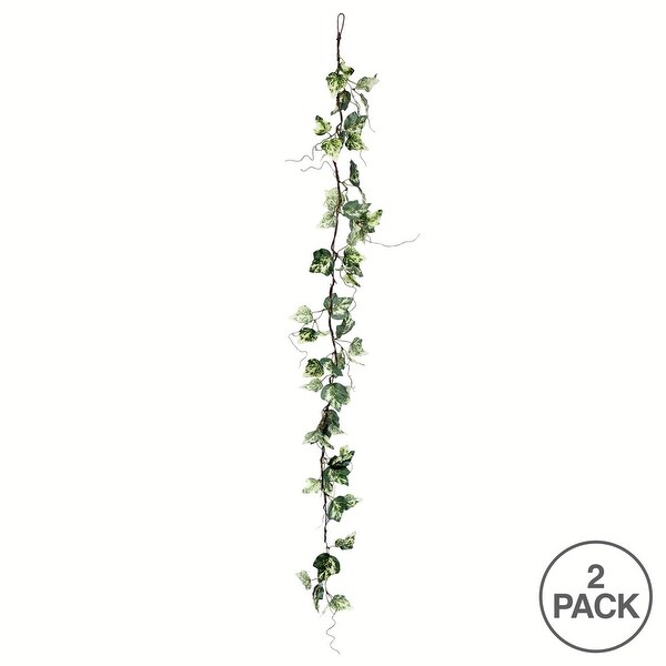 Vickerman 56 Artificial Green Variegated Ivy Garland，Pack of 2