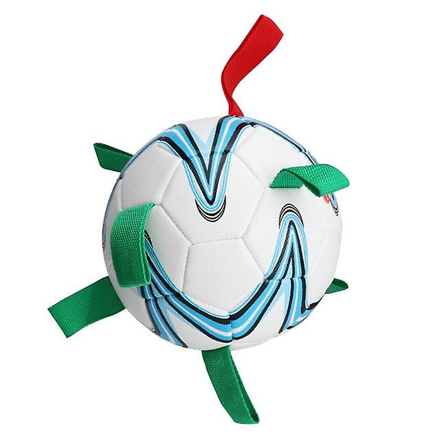 Interactive outdoor dog toy soccer ball