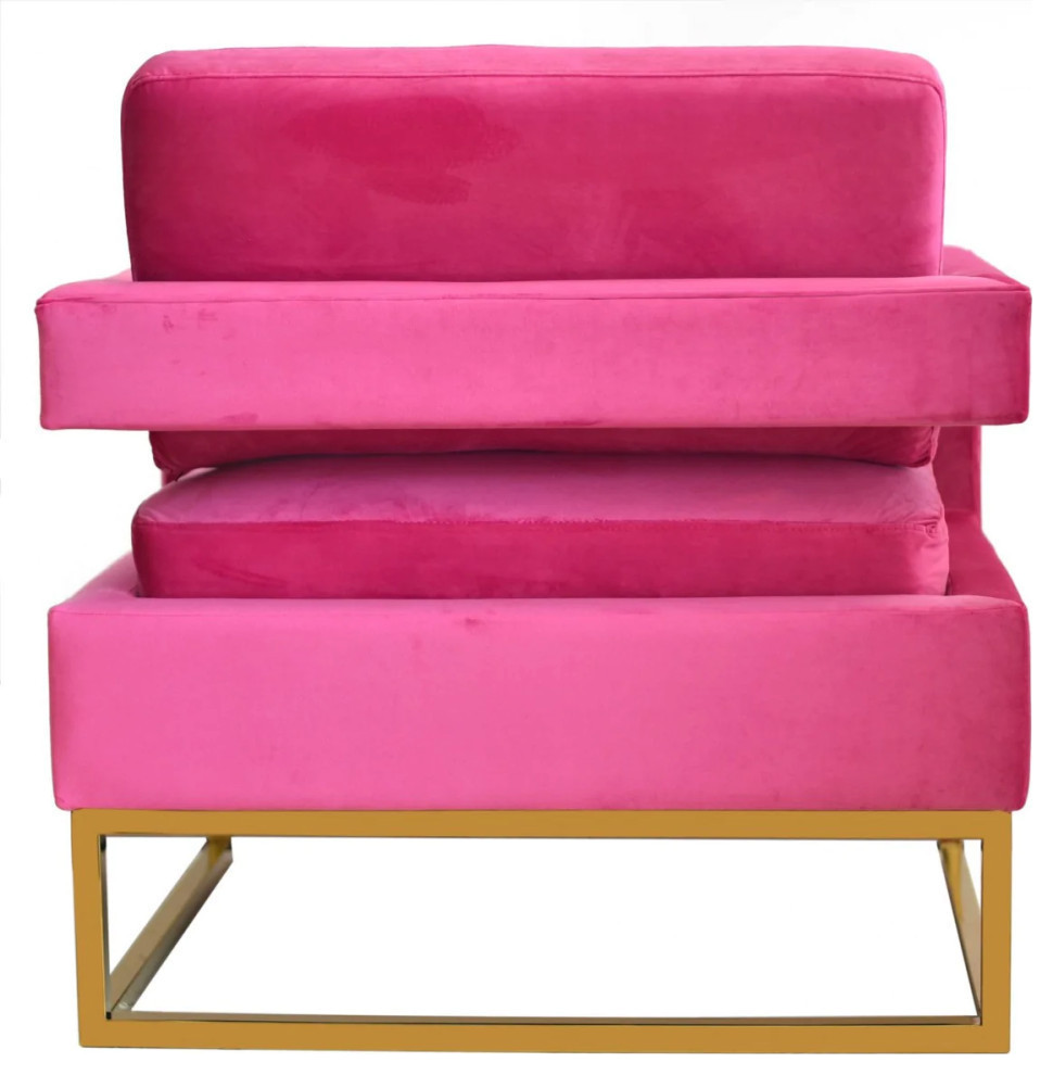 Tina Pink Velvet and Gold Accent Chair   Contemporary   Armchairs And Accent Chairs   by Rustic Home Furniture Deco  Houzz