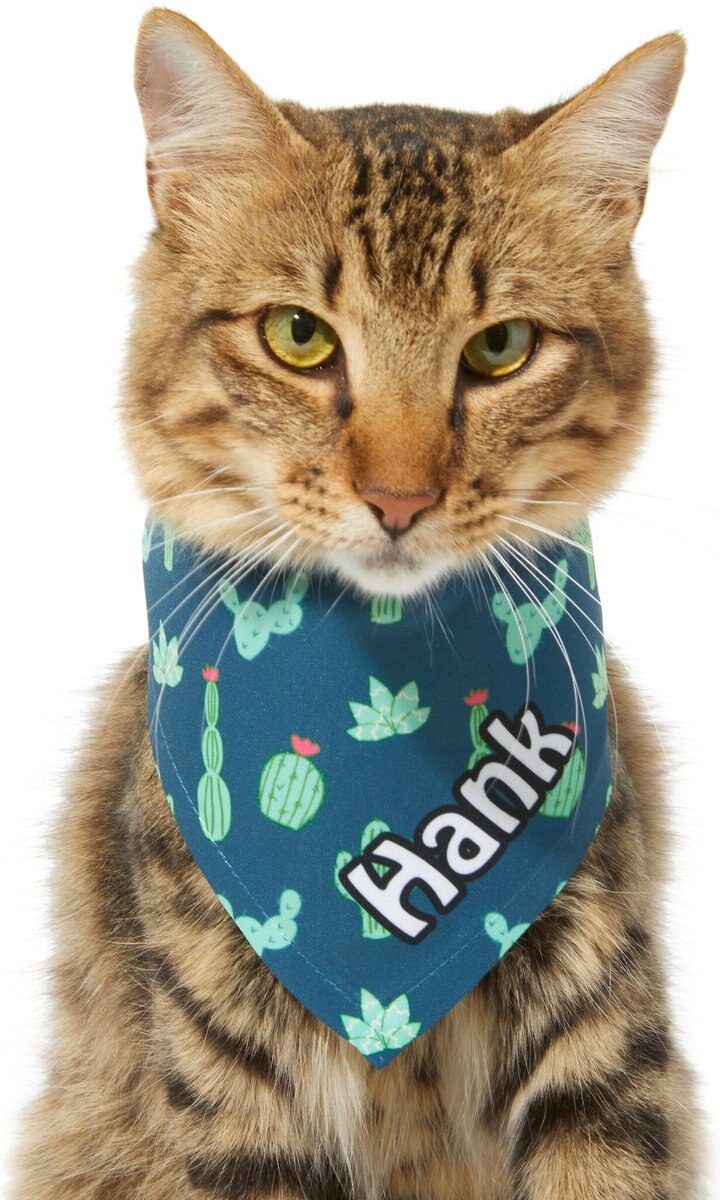 Frisco Cactus Personalized Dog and Cat Bandana