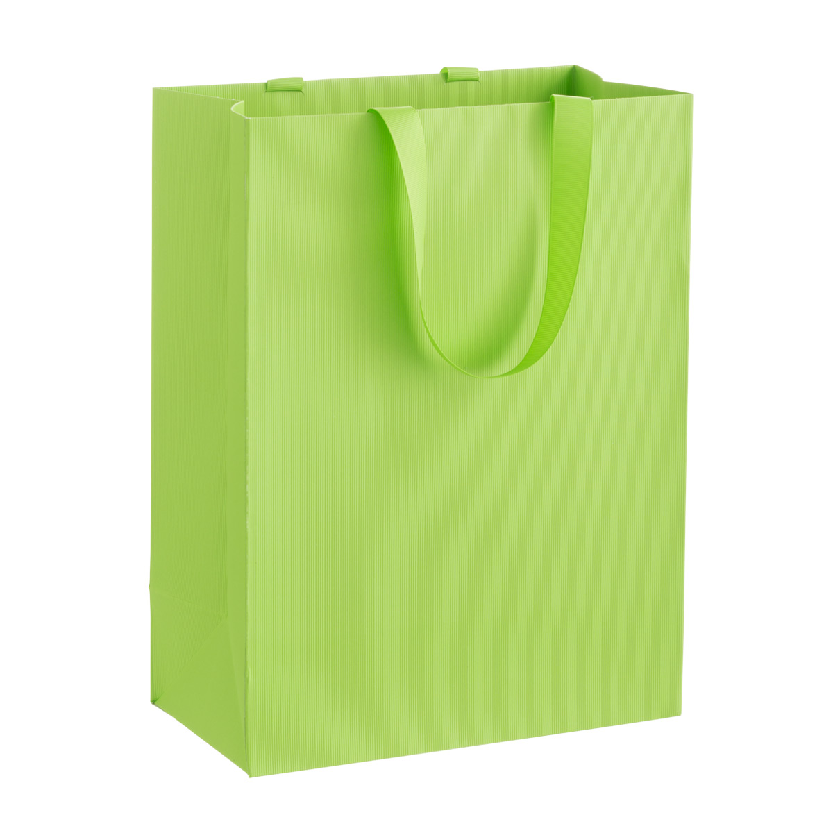 Large Gift Bag